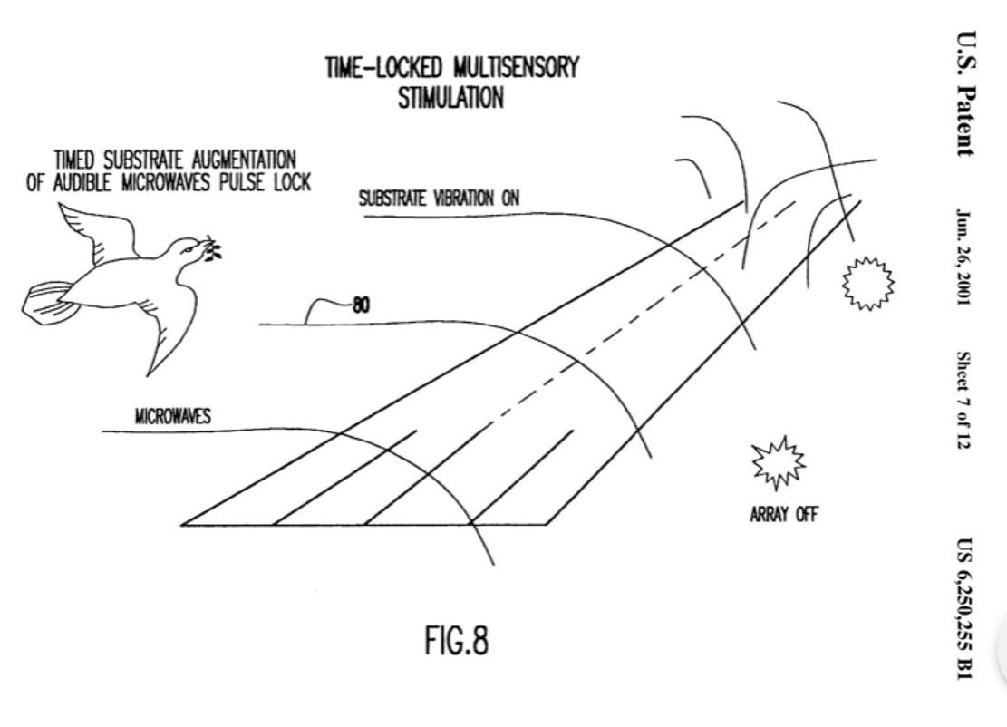 Patent waaruit blijkt dat je met EMF straling vogels kunt wegjagen. Het apparaat wordt gebruikt om landingsbanen van vliegvelden leeg te houden.