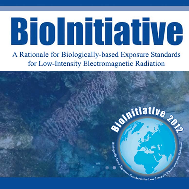 Bio Initiative Rapport